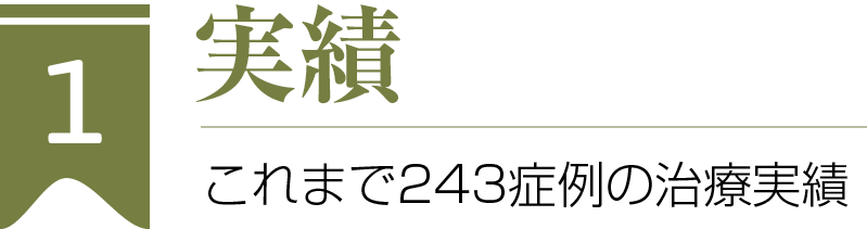 実績